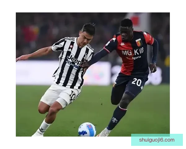 米尔沃尔主场惜败诺维奇比赛精彩瞬间回顾与战术分析